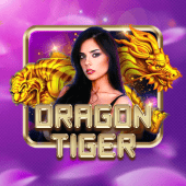 Dragon Tiger live at Plus Casino