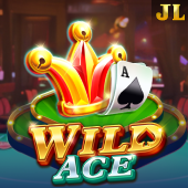 Wild Ace Plus Casino slot